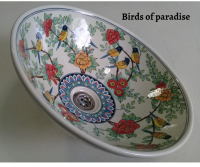 Birds of paradise
