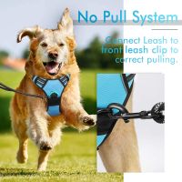 No Pull Dog Harness