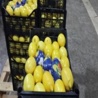 AGOLYN Fresh Seedless Fruit Juicy Yellow Lemon
