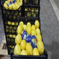 Montale Fruit Wholesalers Fresh Orange Big Yellow Lemons