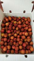 QUALITY Chinese Fresh Lichee Fruit For Export