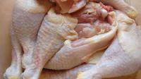 Premium Supplier ! Halal Frozen Whole Chicken Halal Chicken Processed Meat