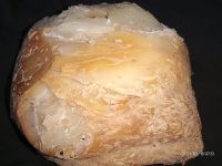 Whale Ambergris