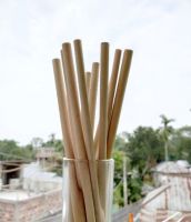 Bamboo Straw