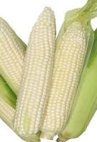 Corn