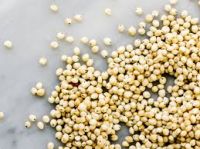 Millet