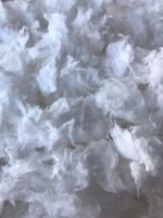 Bleached Cotton Comber Noil