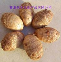 https://jp.tradekey.com/product_view/Fresh-Taro-420803.html