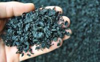 https://es.tradekey.com/product_view/Dried-Cut-Wakame-9576763.html