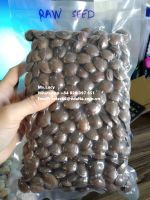 Sacha Inchi / Inca Inchi/ Peanut Inca Seeds Oil Powder High Quality from Vietnam Ms.Lucy +84 929 397 651