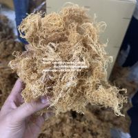 Dried Sea Moss/ Irish Moss/ Eucheuma Cottonii for Export
