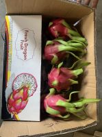 WHITE FLESH DRAGON FRUIT FROM VIET NAM 