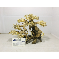 Best selling bonsai driftwood for betta fish tank decoration 