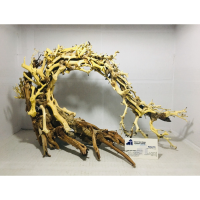 Special shape bonsai driftwood for vivarium decoration 