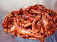 Dried Crayfish