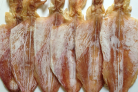 Sundried squid with high quality