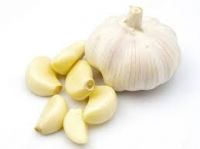 Garlic Clove