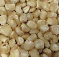 White Corn