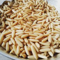 Pine Nuts Pine Nuts Top Quality Siberian Pine Nuts/pine Nuts Kernel