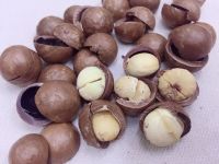 Macadamia nuts, roasted macadamia