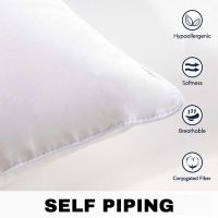 Shree Shakambhari Premium White Filled Cushion Insert