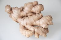 Fresh Elephant Ginger