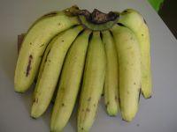 https://www.tradekey.com/product_view/Banana-420566.html
