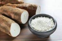 cassava root crops