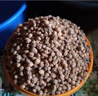 Tiger Nuts