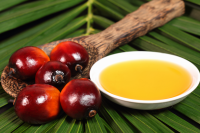 Refined Palm Oil