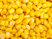 Yellow Corn (Human Consumption & Animal Feed 