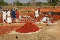 High Quality Dried Chili Pepper