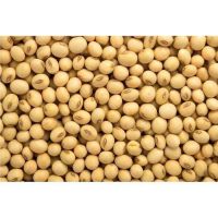 Soybeans