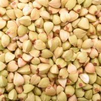 Buckwheat for sale at moderate prices