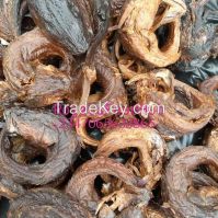 dried fish