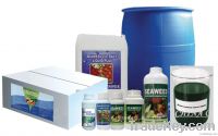 Seaweed functional fertilizer/seaweed amino