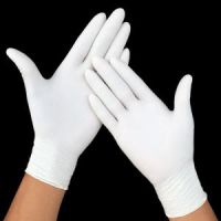 Nitrile and Latex Gloves( powdered and non-powdered)