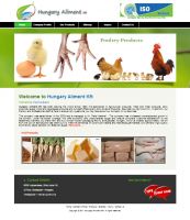 5 pages reasonable price informative responsive website design
