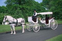 VICTORIA HORSE CARRIAGE