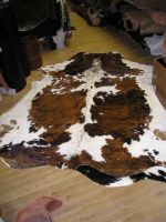 https://ar.tradekey.com/product_view/Cowhide-35077.html