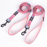 Okeypets Wholesale High Quality Pet Product Soft And Comfortable Padded Handle Strong Dog Leash For Running