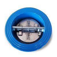 Ductile Iron Check Valve