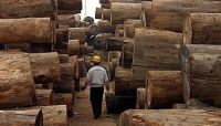 https://ar.tradekey.com/product_view/African-Hardwood-Logs-9627339.html