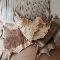 Raw Unsalted Cow Hides/skin