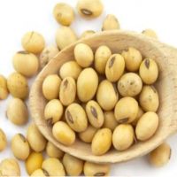High Quality Soybean/Soybean Seeds