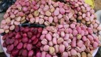 Natural Fresh African Red Kola Nut