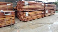 Pachyloba Hardwood Lumber
