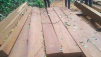 https://www.tradekey.com/product_view/Afromosia-Sawn-Timber-9628209.html
