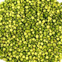 Green Lentils