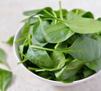 Fresh Spinach Vegetable